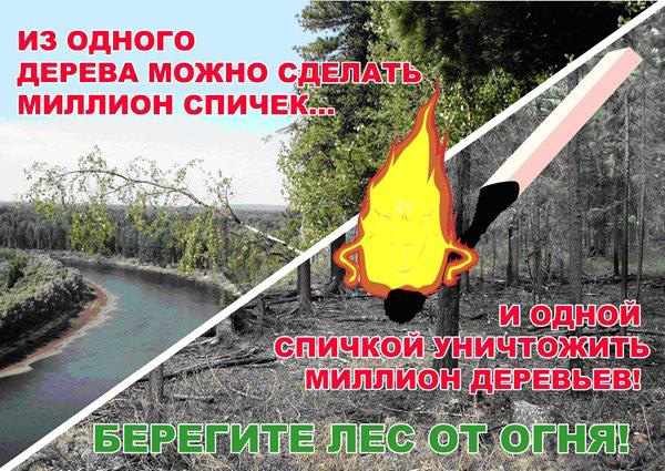 Подведены итоги Всероссийского конкурса открыток «Заповедная природа без пожаров!»   